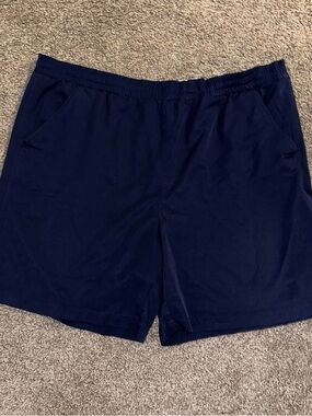 Vintage 90’s Nike White Tag Shorts